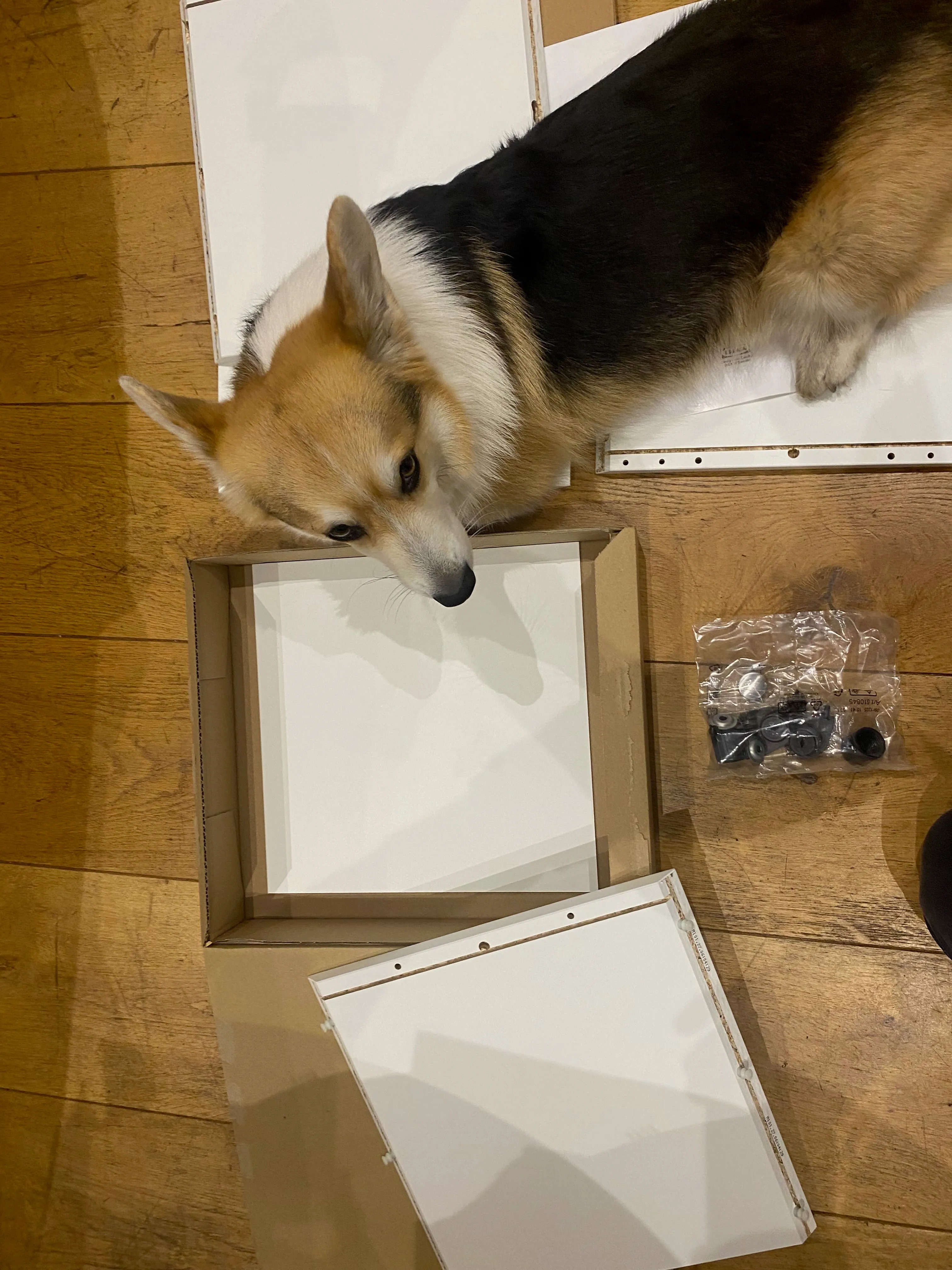 Bryn inspecting the EKET cabinet parts laid out on the floor